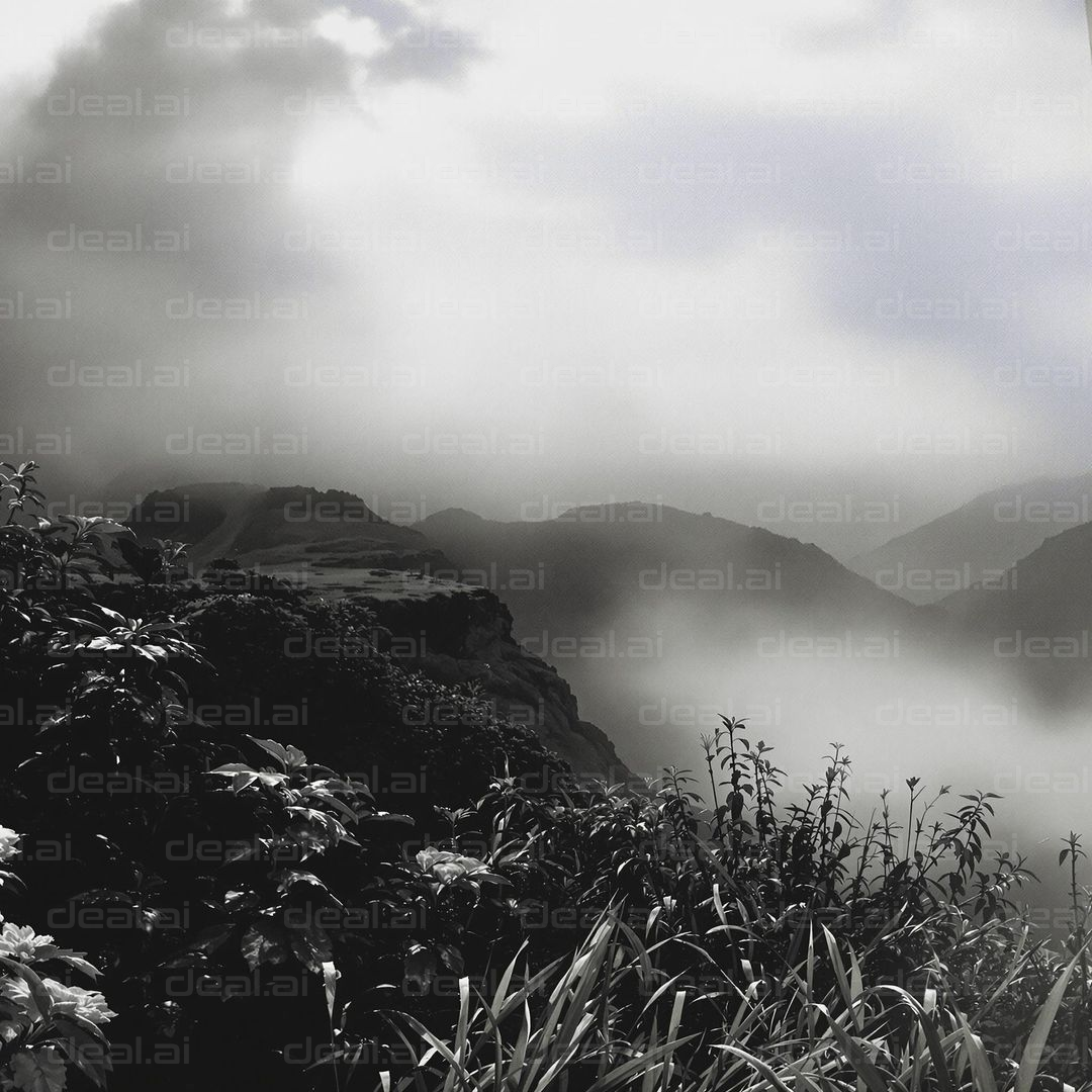"Misty Mountain Serenity"