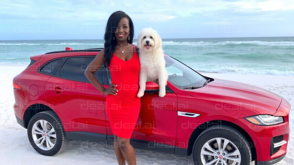 Beach Day with Red Car and Puppy