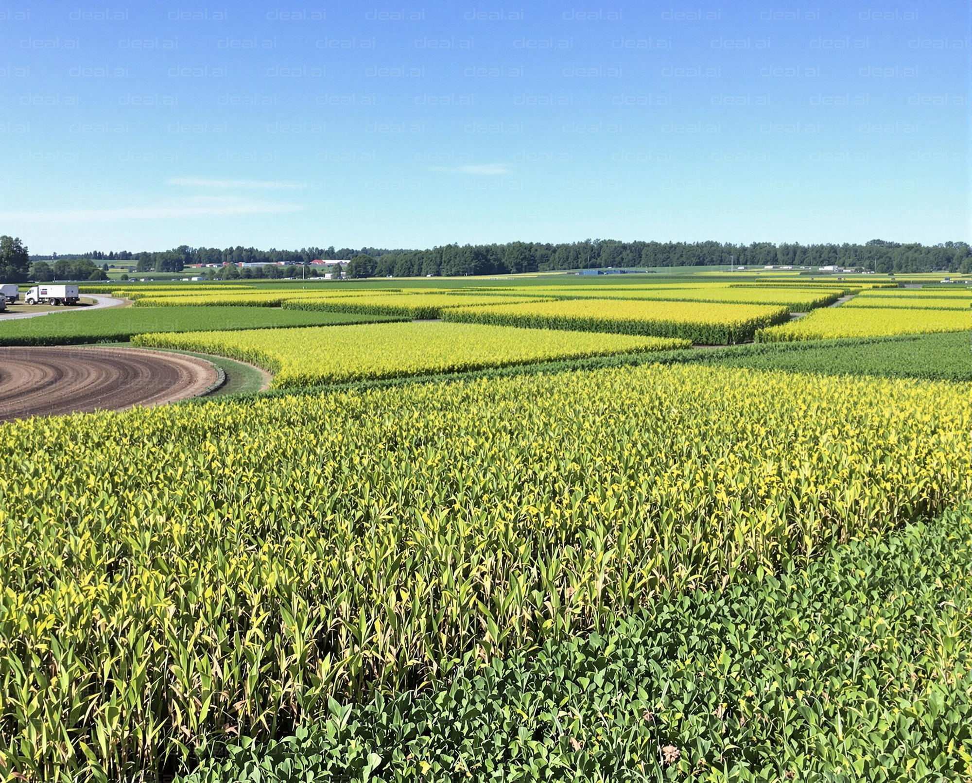 "Green Fields Under Clear Sky"