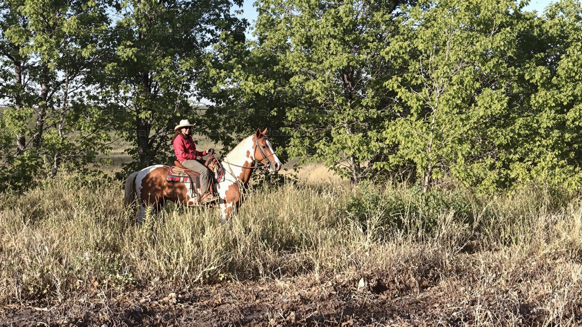 "Rider in the Green Wilderness"