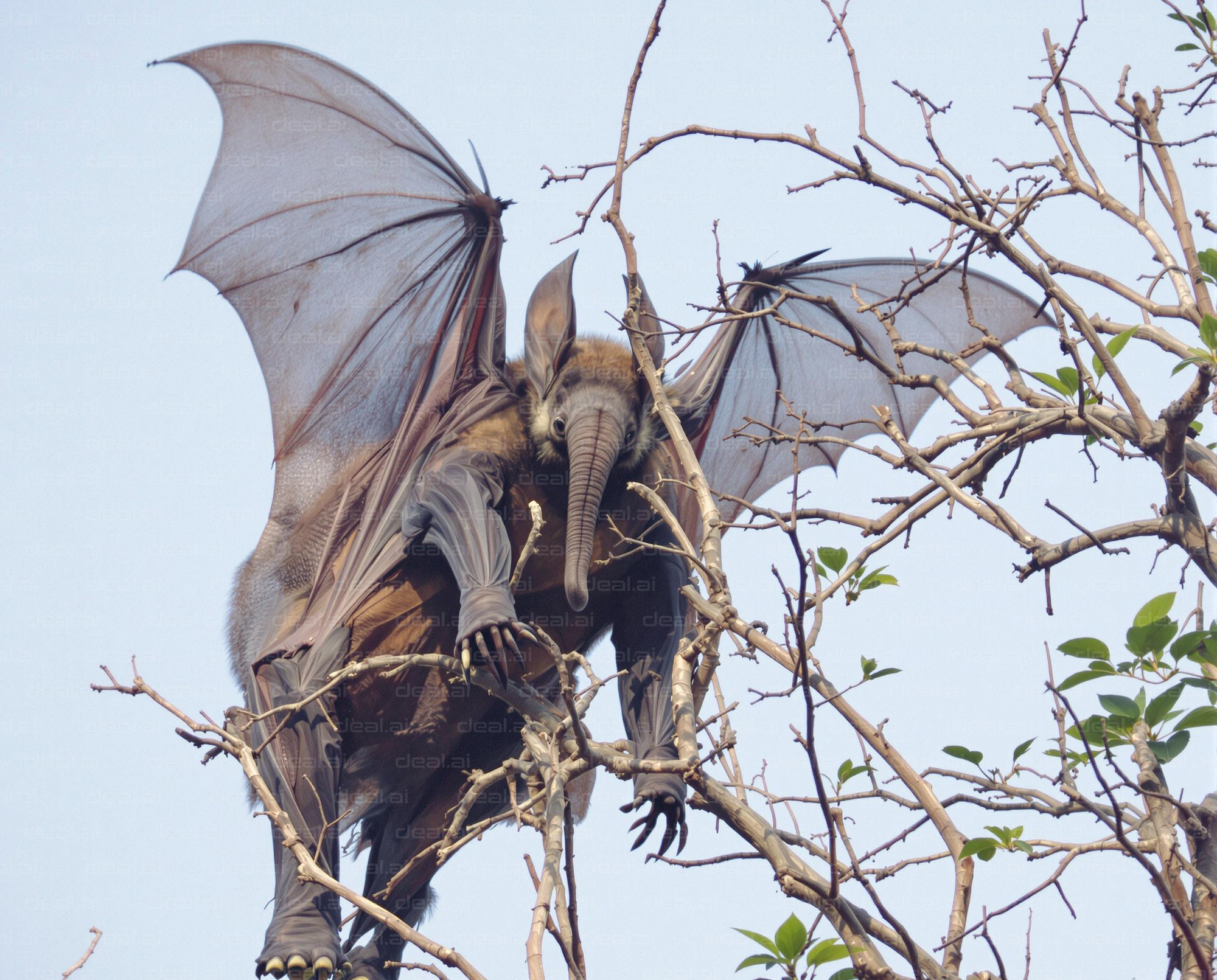 "Majestic Creature in the Treetops"