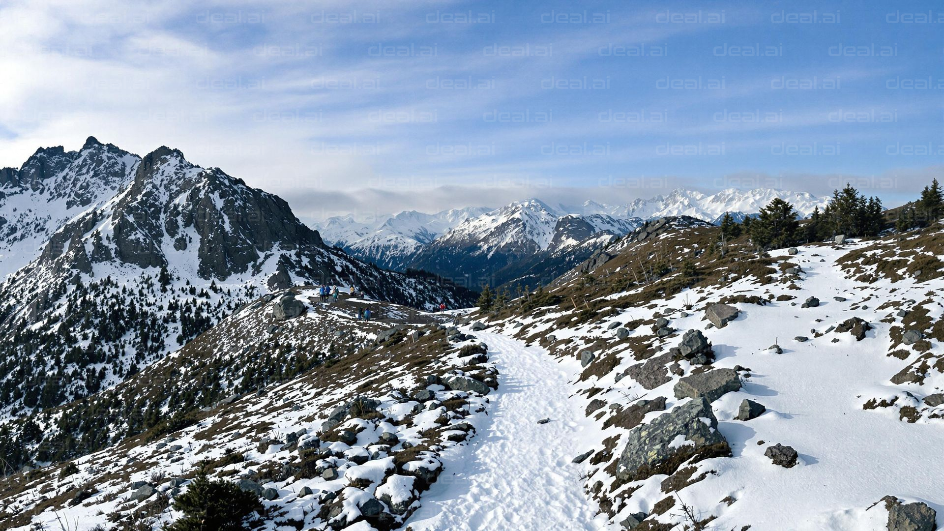 Alpine Winter Trail Adventure