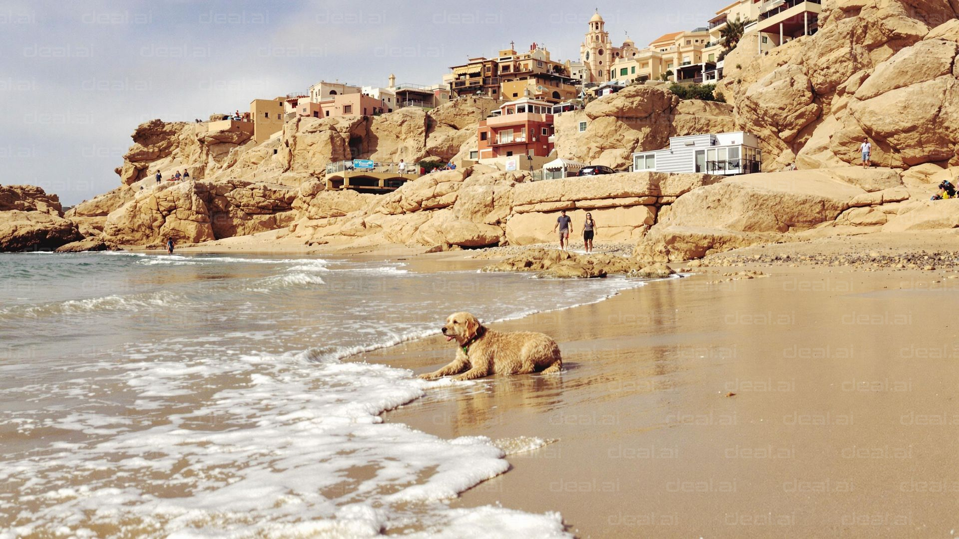 Dog Relaxing on Scenic Beach Shore